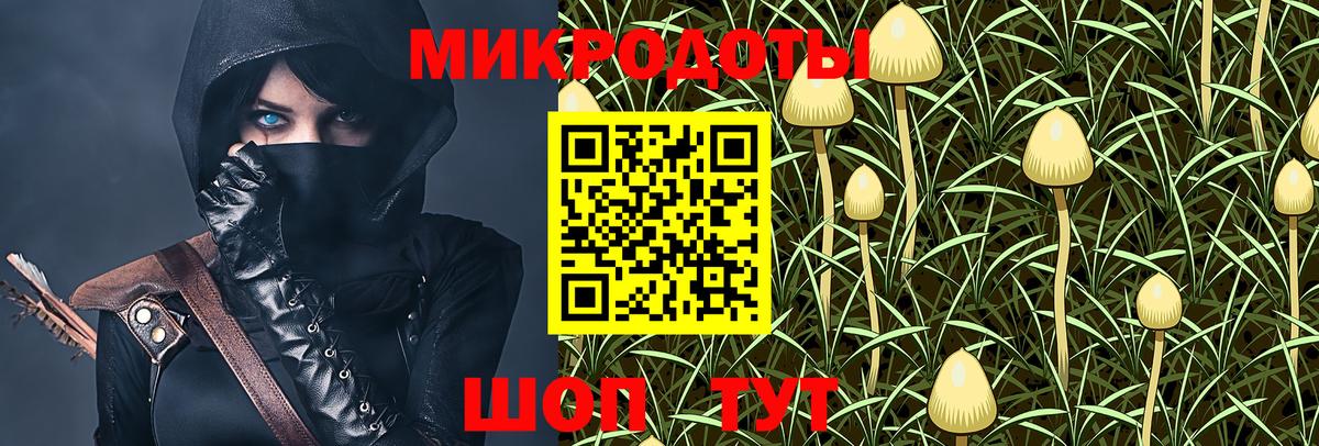Галлюциногенные грибы прущие грибы  Вход с VPN  Шали  Галлюциногенные грибы Magic Shrooms 