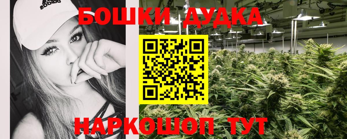 Канабис ГИДРОПОН Шали